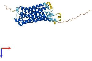 TBXA2R Protein (AA 1-343) (His tag)