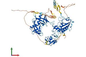 AlphaFold protein structure predicition of Human Recombinant DTX1 Protein, UniprotID Q86Y01 (Deltex Homolog 1 Protein (AA 1-620) (His tag))