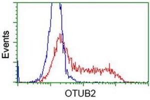 HEK293T cells transfected with either RC209650 overexpress plasmid (Red) or empty vector control plasmid (Blue) were immunostained by anti-OTUB2 antibody (ABIN2453411), and then analyzed by flow cytometry.