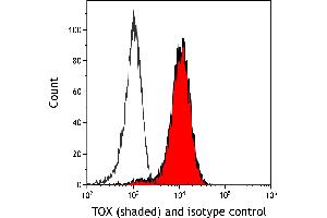 anti-Thymus High Mobility Group Box Protein (TOX) (AA 50-100) antibody