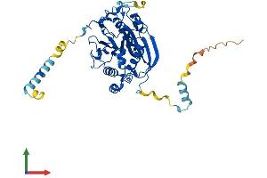 Protein Structure (PS) image for UDP-Gal:betaGlcNAc beta 1,4- Galactosyltransferase, Polypeptide 3 (B4GALT3) (AA 1-393) protein (His tag) (ABIN7552567)
