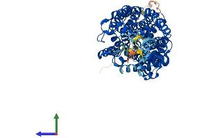 AlphaFold protein structure predicition of Mouse Recombinant Slc6a2 Protein, UniprotID O55192