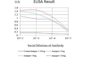 Black line: Control Antigen (100 ng),Purple line: Antigen (10 ng), Blue line: Antigen (50 ng), Red line:Antigen (100 ng) (Albumin antibody  (AA 410-609))