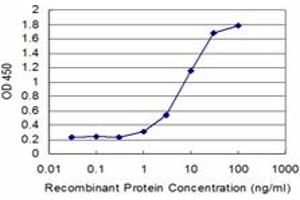 Detection limit for recombinant GST tagged RNF40 is approximately 1ng/ml as a capture antibody. (RNF40 antibody  (AA 102-200))