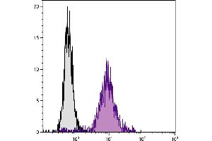 Mouse pre-B cell line 18-81 was stained with Rat Anti-Mouse CD71-BIOT. (Transferrin Receptor antibody  (Biotin))