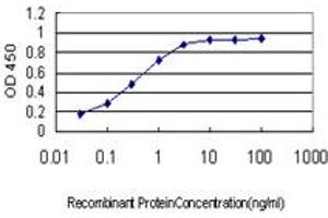 Detection limit for recombinant GST tagged ALS2 is approximately 0. (ALS2 antibody  (AA 221-320))
