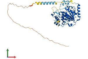 AlphaFold protein structure predicition of Mouse Recombinant St3gal5 Protein, UniprotID O88829 (ST3GAL5 Protein (AA 1-414) (His tag))