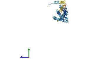 AlphaFold protein structure predicition of Human Recombinant STX16 Protein, UniprotID O14662 (Syntaxin 16 Protein (STX16) (AA 1-325) (His tag))