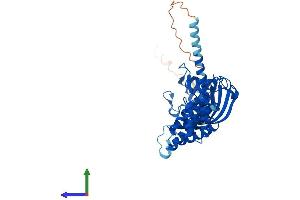 AlphaFold protein structure predicition of Mouse Recombinant Fkbp4 Protein, UniprotID P30416 (FKBP4 Protein (AA 1-458) (His tag))
