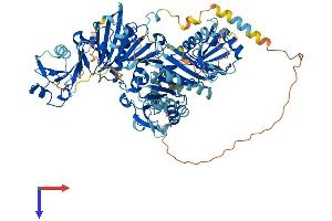 AlphaFold protein structure predicition of Human Recombinant VILL Protein, UniprotID O15195 (VILL Protein (AA 1-856) (His tag))