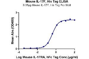 Immobilized Mouse IL-17F, His Tag at 0. (IL17F Protein (AA 29-161) (His-Avi Tag))