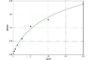 HtrA Serine Peptidase 1 (HTRA1) ELISA Kit