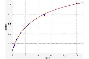 MYOD1 ELISA Kit