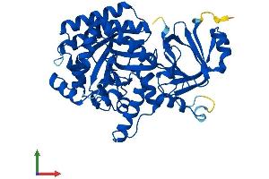 AlphaFold protein structure predicition of Mouse Recombinant Gda Protein, UniprotID Q9R111 (GDA Protein (AA 1-454) (His tag))
