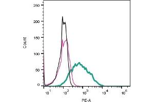 Cell surface detection of CD63 by indirect flow cytometry in live intact mouse P815 mastocytoma cell line: + goat-anti-rabbit-PE. (CD63 antibody  (Extracellular))