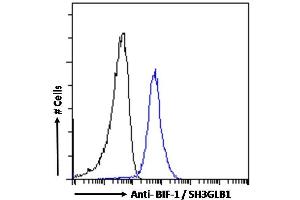 (ABIN184621)-P1 Flow cytometric analysis of paraformaldehyde fixed A431 cells (blue line), permeabilized with 0. (SH3GLB1 antibody  (C-Term))