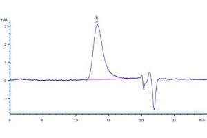 The purity of Mouse VEGF164, Tag Free (Hied) (ABIN2181901,ABIN3071750) was greater than 95 % as determined by . (VEGF Protein (AA 27-190))