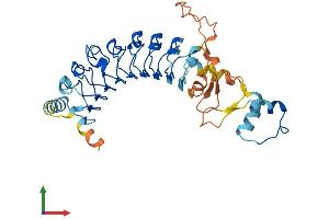 AlphaFold protein structure predicition of Mouse Recombinant Lrrc58 Protein, UniprotID Q3UGP9 (LRRC58 Protein (AA 1-366) (His tag))