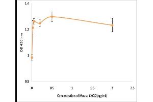 Activity Assay (AcA) image for Chemokine (C-X-C Motif) Ligand 2 (CXCL2) (Active) protein (ABIN5509437) (CXCL2 Protein)