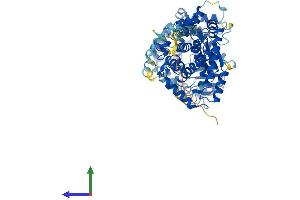 AlphaFold protein structure predicition of Mouse Recombinant Kel Protein, UniprotID Q9EQF2 (KEL Protein (AA 1-713) (His tag))