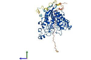 AlphaFold protein structure predicition of Human Recombinant HDAC1 Protein, UniprotID Q13547 (HDAC1 Protein (AA 1-482) (His tag))