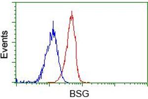 Image no. 4 for anti-Basigin (Ok Blood Group) (BSG) antibody (ABIN1498016) (CD147 antibody)