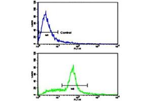Flow cytometric analysis of WiDr cells using KITLG polyclonal antibody (bottom histogram) compared to a negative control cell (top histogram). (KIT Ligand antibody  (C-Term))