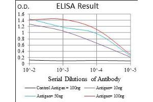 Black line: Control Antigen (100 ng), Purple line: Antigen(10 ng), Blue line: Antigen (50 ng), Red line: Antigen (100 ng), (FLIP antibody  (AA 100-251))