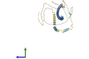 AlphaFold protein structure predicition of Mouse Recombinant Cavin1 Protein, UniprotID O54724 (PTRF Protein (AA 1-392) (His tag))