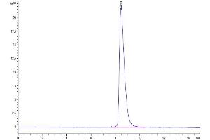 Size-exclusion chromatography-High Pressure Liquid Chromatography (SEC-HPLC) image for SLAM Family Member 6 (SLAMF6) (AA 20-225) protein (His tag) (ABIN7275617)