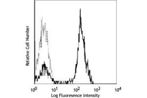 Image no. 1 for anti-CD2 (CD2) antibody (ABIN205451) (CD2 antibody)