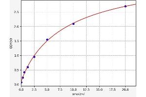 LSS ELISA Kit