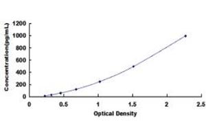 Typical standard curve (METRN ELISA Kit)