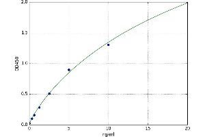 GDNF Family Receptor alpha 1 (GFRA1) ELISA Kit