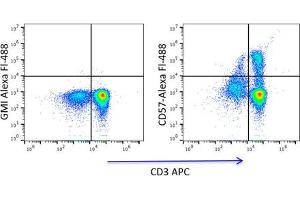Flow Cytometry (FACS) image for anti-beta-1,3-Glucuronyltransferase 1 (Glucuronosyltransferase P) (B3GAT1) antibody (ABIN3071842) (CD57 antibody)