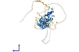 AlphaFold protein structure predicition of Human Recombinant LENG9 Protein, UniprotID Q96B70 (LENG9 Protein (AA 1-501) (His tag))
