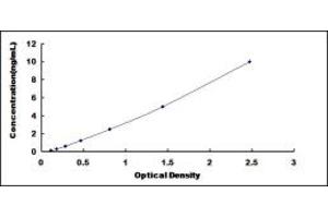 VNN3 ELISA Kit