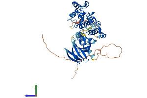 AlphaFold protein structure predicition of Human Recombinant MAPK9 Protein, UniprotID P45984 (JNK2 Protein (AA 1-424) (His tag))