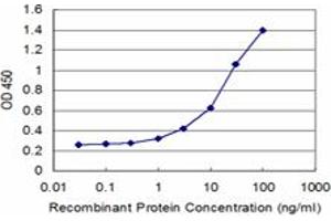 Detection limit for recombinant GST tagged COX6B1 is approximately 1ng/ml as a capture antibody. (COX6B1 antibody  (AA 1-86))