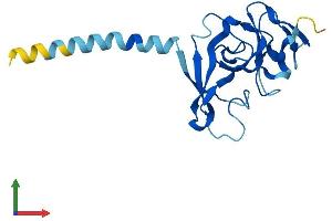 Protein Structure (PS) image for Inner Mitochondrial Membrane Peptidase Subunit 2 (IMMP2L) (AA 1-175) protein (His tag) (ABIN7558805)