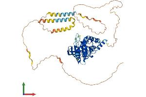 AlphaFold protein structure predicition of Human Recombinant PTPN5 Protein, UniprotID P54829 (PTPN5 Protein (AA 1-565) (His tag))