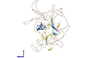 AlphaFold protein structure predicition of Human Recombinant SYNPO2 Protein, UniprotID Q9UMS6 (SYNPO2 Protein (AA 1-1093) (His tag))