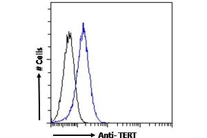 ABIN940568 Flow cytometric analysis of paraformaldehyde fixed HeLa cells (blue line), permeabilized with 0. (TERT antibody  (AA 597-611))