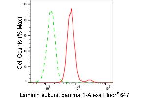 Flow cytometric analysis of laminin subunit gamma 1 expression in HAP-1 cells using laminin subunit gamma 1 antibody (ABIN7799235), 1:2,000).