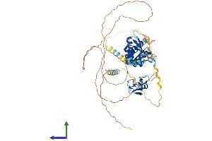 AlphaFold protein structure predicition of Human Recombinant MEX3A Protein, UniprotID A1L020 (MEX3A Protein (AA 1-520) (His tag))