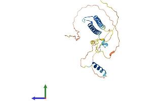 AlphaFold protein structure predicition of Mouse Recombinant Myf5 Protein, UniprotID P24699 (MYF5 Protein (AA 1-255) (His tag))