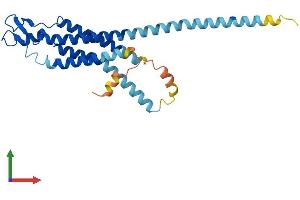 AlphaFold protein structure predicition of Human Recombinant GJB6 Protein, UniprotID O95452