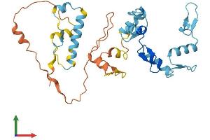 Protein Structure (PS) image for Zinc Finger Protein 705A (ZNF705A) (AA 1-300) protein (His tag) (ABIN7545238)