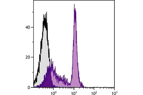 CD45RC antibody  (PE)