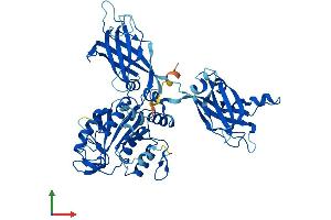 AlphaFold protein structure predicition of Human Recombinant CPNE3 Protein, UniprotID O75131